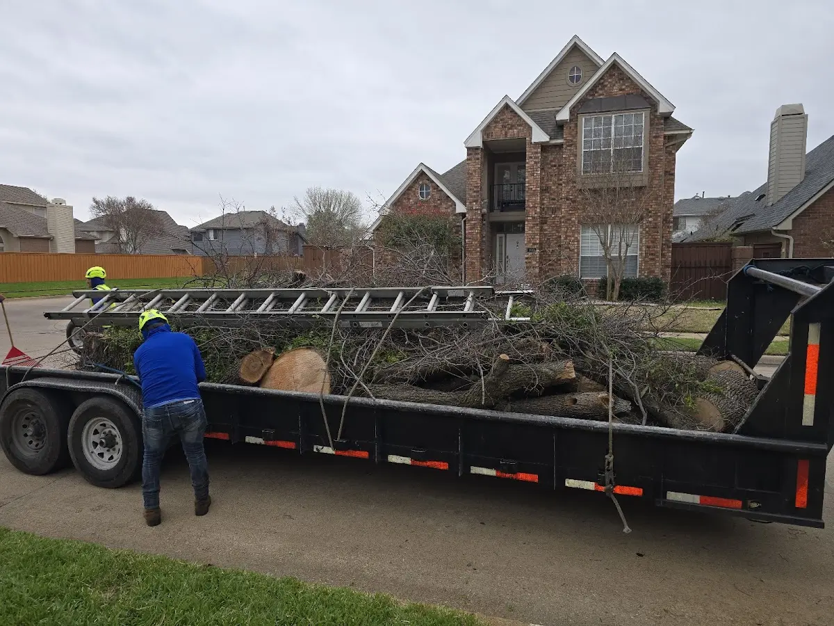 Expert Tree Fertilization with proper safety equipment in New London